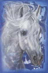Poster - Horse in blue Enmarcado de cuadros